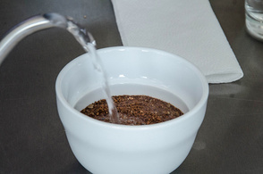 Cupping, degustace kávy