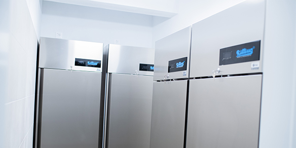 M&Scaron; Čechyně Rilling