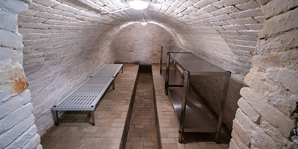 ZŠ a MŠ Borkovany Sklep ZŠ a MŠ Borkovany Sklep