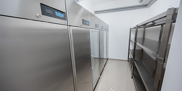 Z&Scaron; s&nbsp;M&Scaron; Bo&scaron;ovice lednice